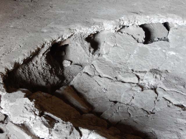 VII.16.a Pompeii. May 2015. Room 5, detail of damaged floor. Photo courtesy of Buzz Ferebee.