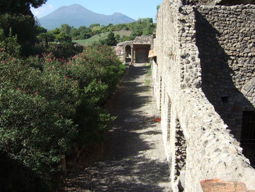 VIII.1.a Pompeii.  Villa Imperiale.  September 2005.  Looking west along garden and portico.