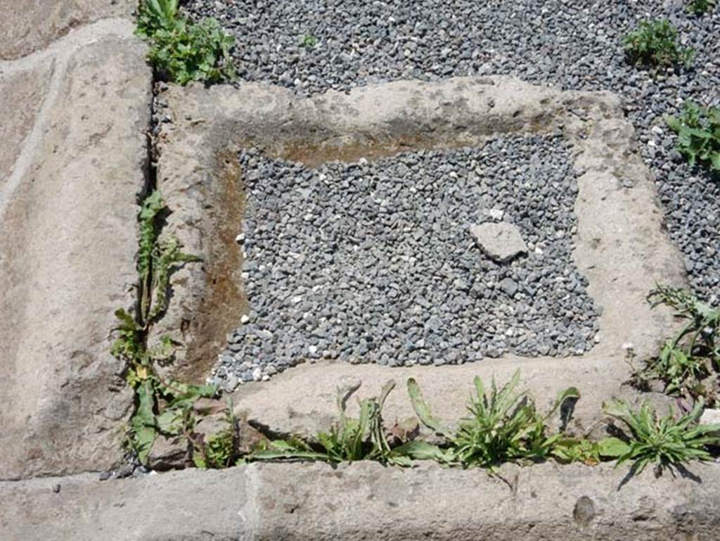 VIII.2.3 Pompeii. May 2018. Detail from south-east corner of peristyle garden. Photo courtesy of Buzz Ferebee.