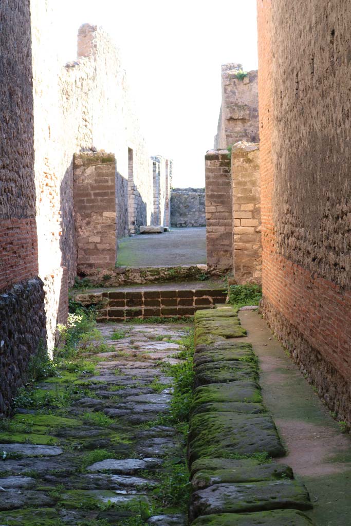 VIII.2.7 Pompeii. December 2018. Looking south from Forum. Photo courtesy of Aude Durand.