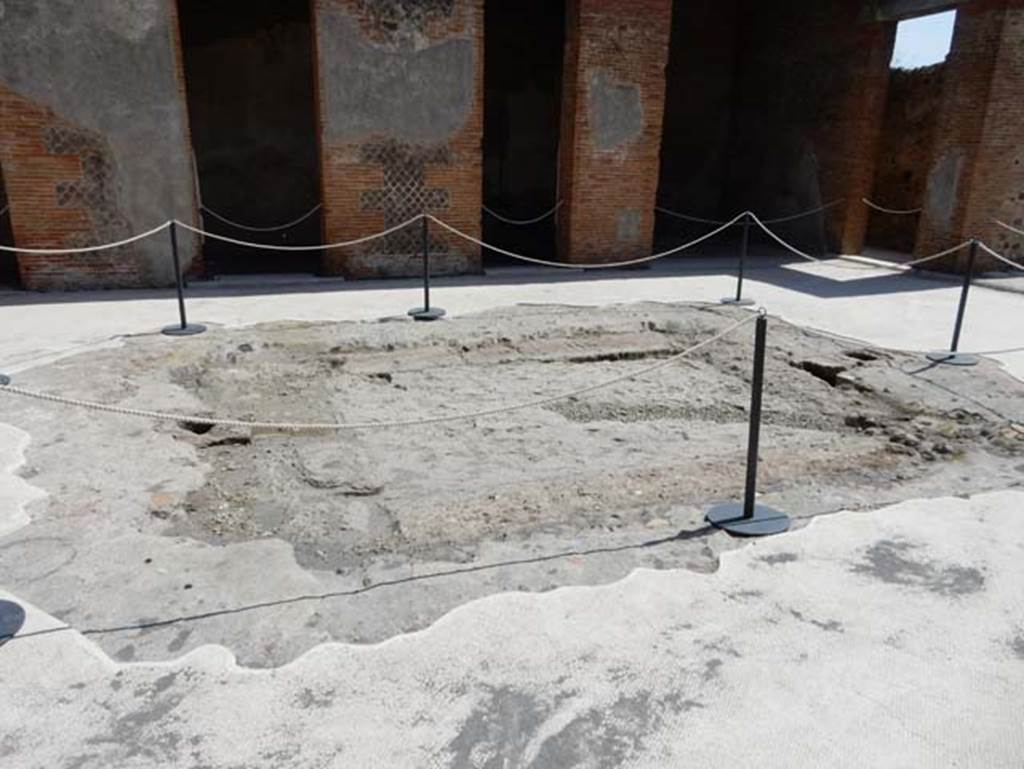 VIII.2.16 Pompeii. May 2018. Site of impluvium in atrium, looking south. Photo courtesy of Buzz Ferebee.