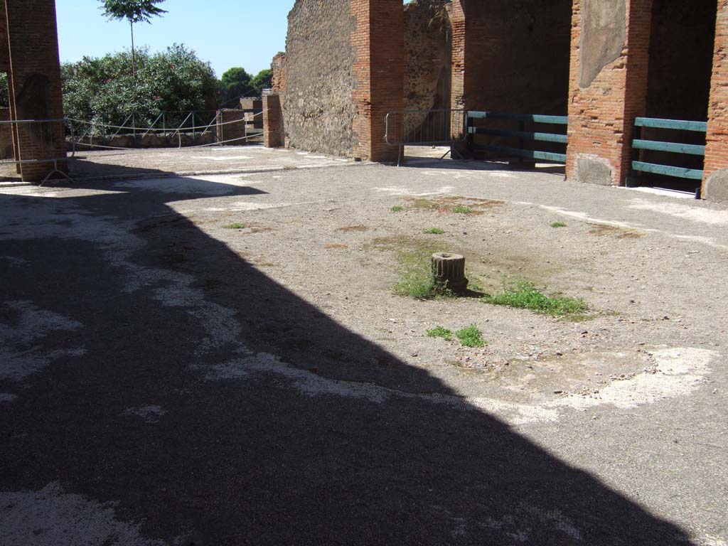 VIII.2.16 Pompeii. September 2005. Looking west across site of impluvium in atrium.
On the west side of the atrium is a doorway, on left, leading into a passageway and room onto the east portico. The tablinum is in the centre, and the doorway to a triclinium is on the right. On both of the side walls is an open ala.
