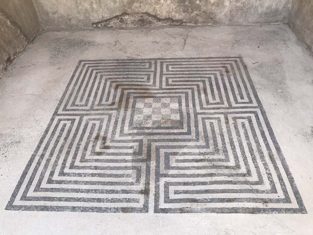 VIII.2.16 Pompeii. May 2017. Mosaic flooring from south ala.  Photo courtesy of Buzz Ferebee.