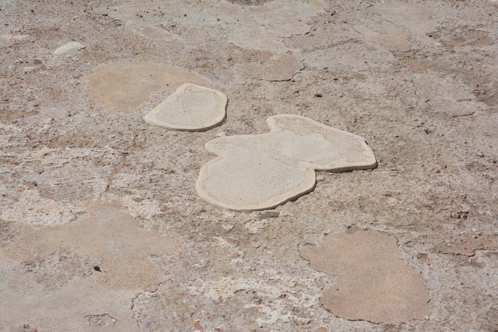 VIII.2.16 Pompeii. September 2019. Detail from flooring in tablinum.
Foto Annette Haug, ERC Grant 681269 DÉCOR.
