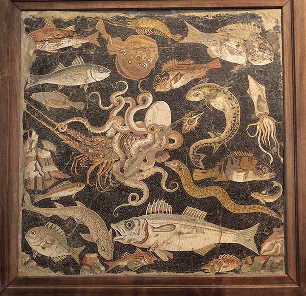 VIII.2.16 Pompeii.  
Mosaic of Sea scene with fish found in the shallow basin in the triclinium near the north portico. 
Now in Naples Archaeological Museum, Inventory number 120177.
