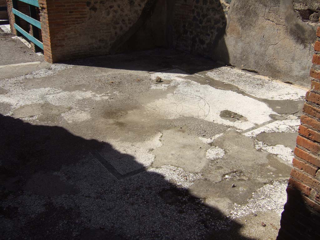 VIII.2.16 Pompeii. September 2005. 
Triclinium in north-west corner of atrium with doorway onto north portico, with remains of travertine floor. 
Inserted in the centre would have been a mosaic with a black border showing a circle containing 6-petalled stars. 
