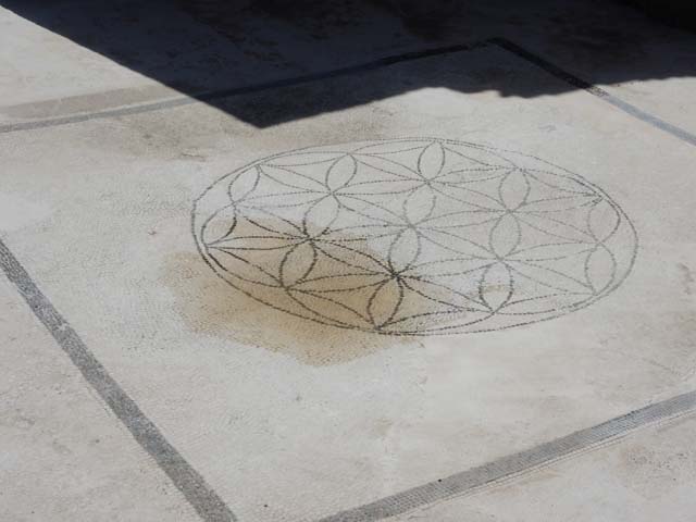 VIII.2.16 Pompeii. May 2018. Central motif in the flooring of the triclinium.
Photo courtesy of Buzz Ferebee.
