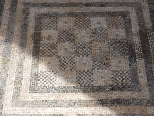 VIII.2.16 Pompeii. May 2017. Detail of central motif in north ala. Photo courtesy of Buzz Ferebee.