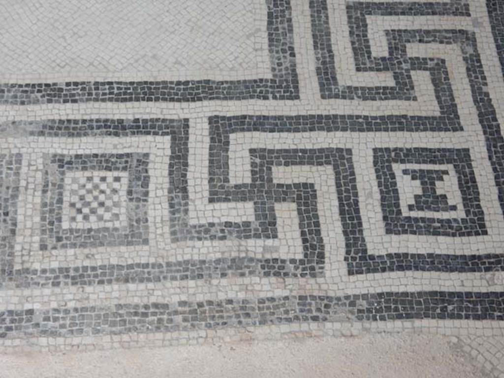 VIII.2.16 Pompeii. May 2017. Detail of mosaic flooring. Photo courtesy of Buzz Ferebee.