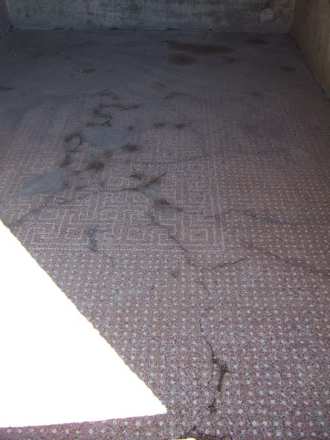 VIII.2.16 Pompeii. September 2005. 
Cubiculum on north side of entrance corridor, with decorated floor of cocciopesto with regular lines of large white tesserae. 
In the centre of the floor, the smaller tesserae make a decoration of a net of meanders and squares.
