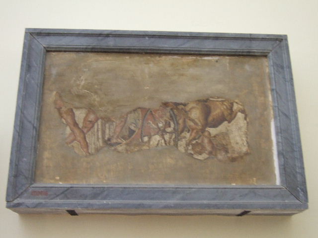 VIII.2.16 Pompeii. 
Remains of mosaic of the Rape of the Leucippides (the daughters of Leucippus), on a slab of tufa, found in September 1890.
Now in Naples Archaeological Museum. Inventory number 120619.
Found in a room at the rear of VII.2.14, according to Rom. Mitt, vii, 1892, p.12. 
This room was at the rear of the triclinium with the shallow basin.
It would have been in the south-east corner of the northern peristyle, also accessed from a corridor in VIII.2.14. 

