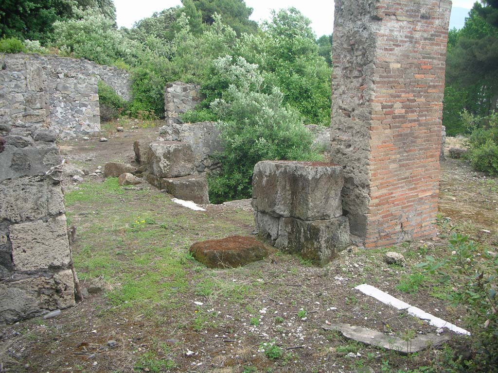 VIII.2.36-37 Pompeii. May 2011. Looking south-east across portico. Photo courtesy of Ivo van der Graaff.