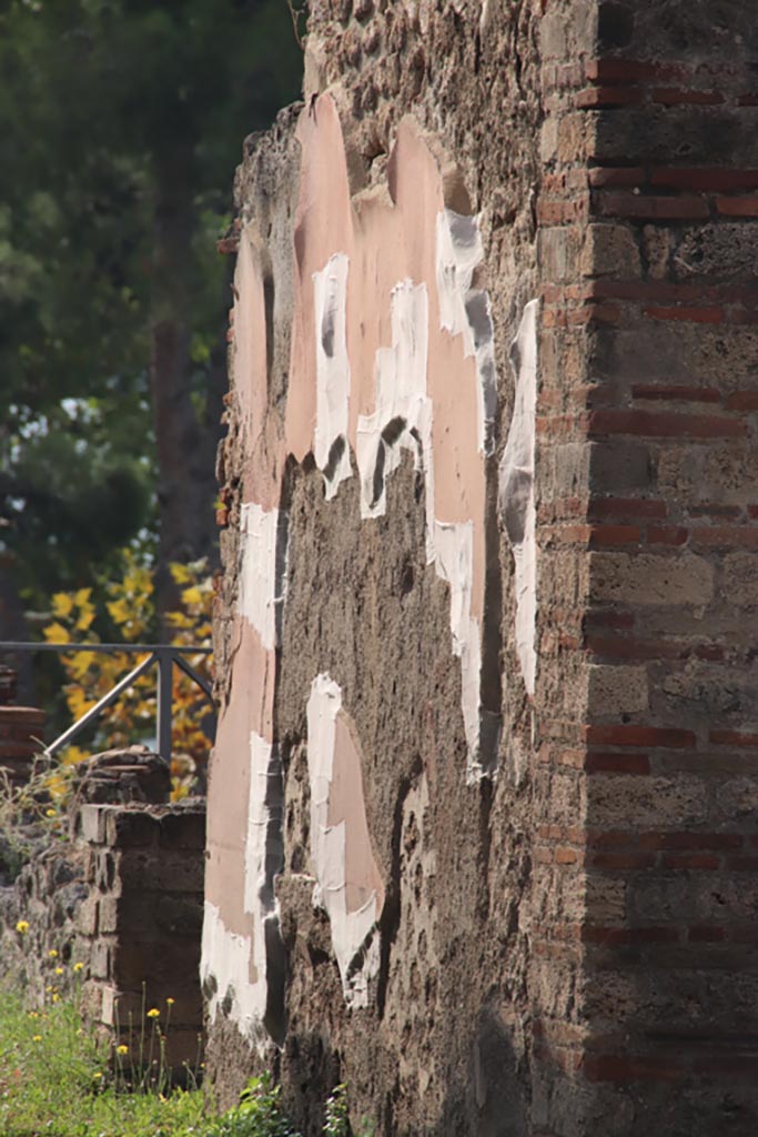 VIII.2.39 Pompeii. October 2023. Detail of west wall of corridor q. Photo courtesy of Klaus Heese.