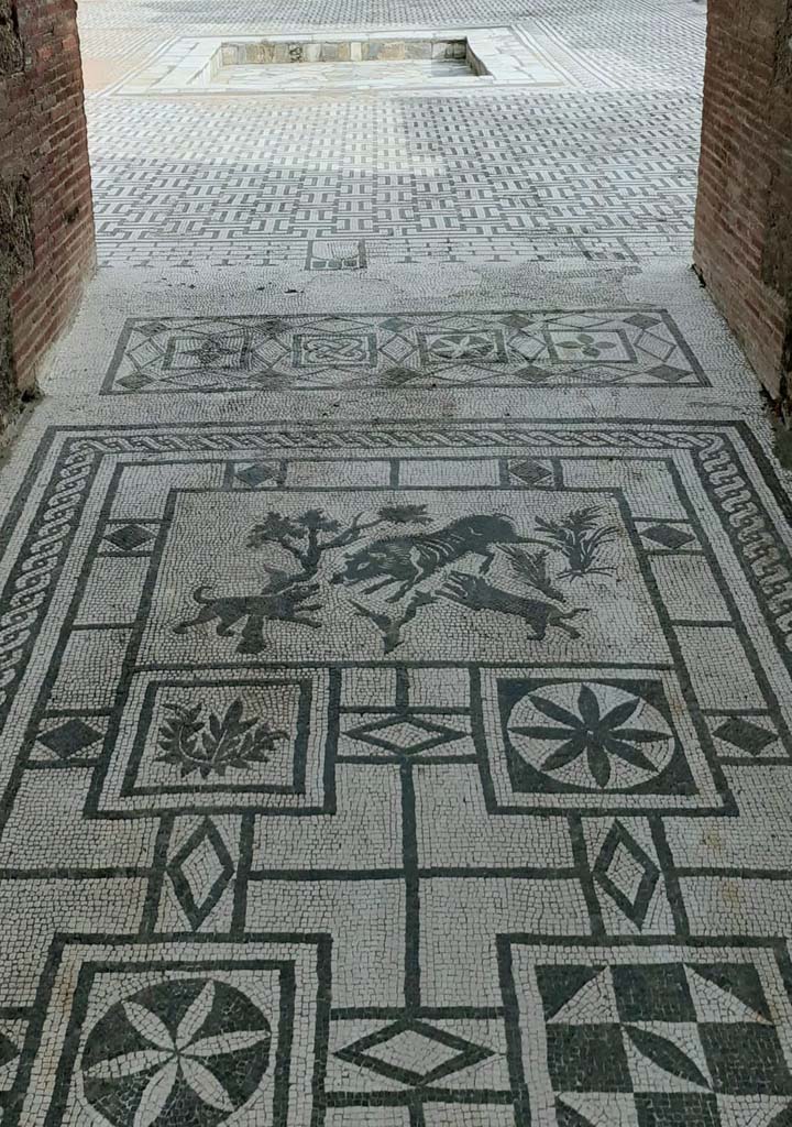 VIII.3.8, Pompeii., December 2018.
Looking south from entrance doorway along mosaic in corridor/fauces. Photo courtesy of Aude Durand.

