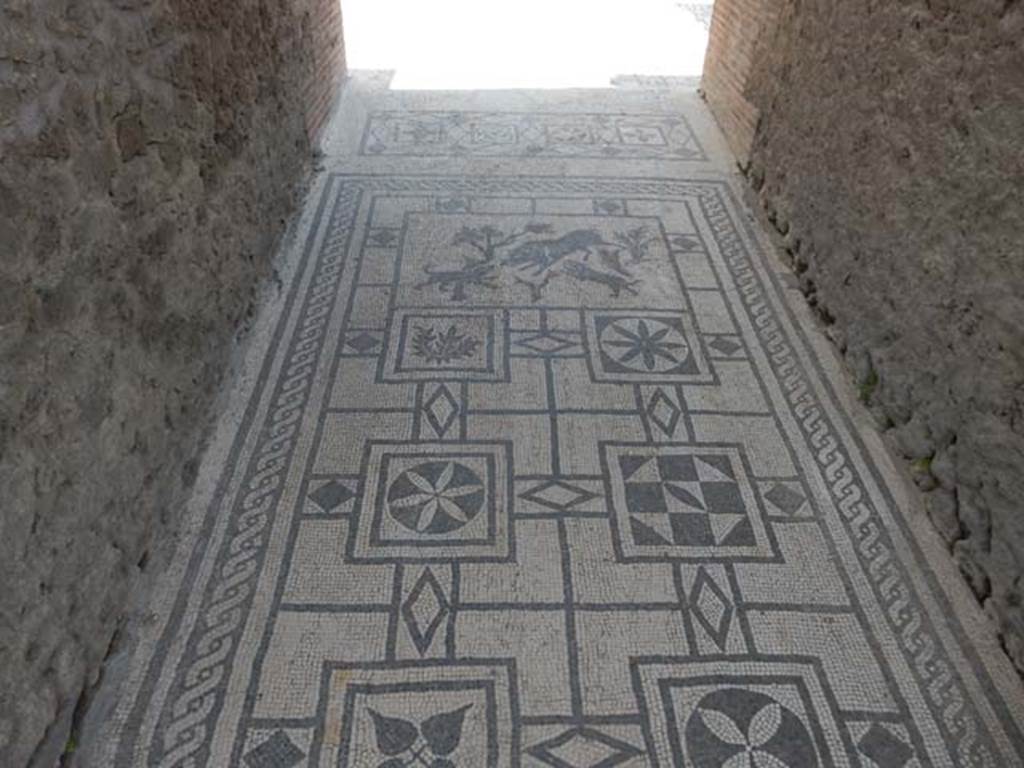 VIII.3.8 Pompeii. October 2020. Detail of mosaic in corridor/fauces. Photo courtesy of Klaus Heese. 