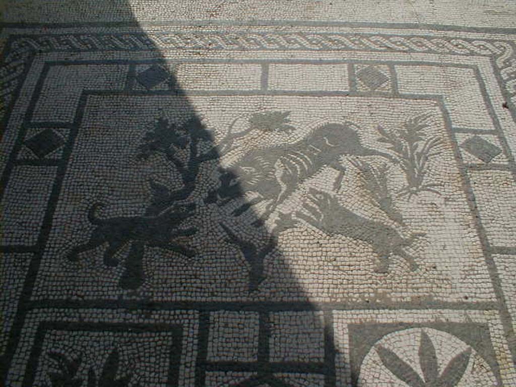 VIII.3.8 Pompeii. September 2004. Wild boar mosaic in entrance corridor.