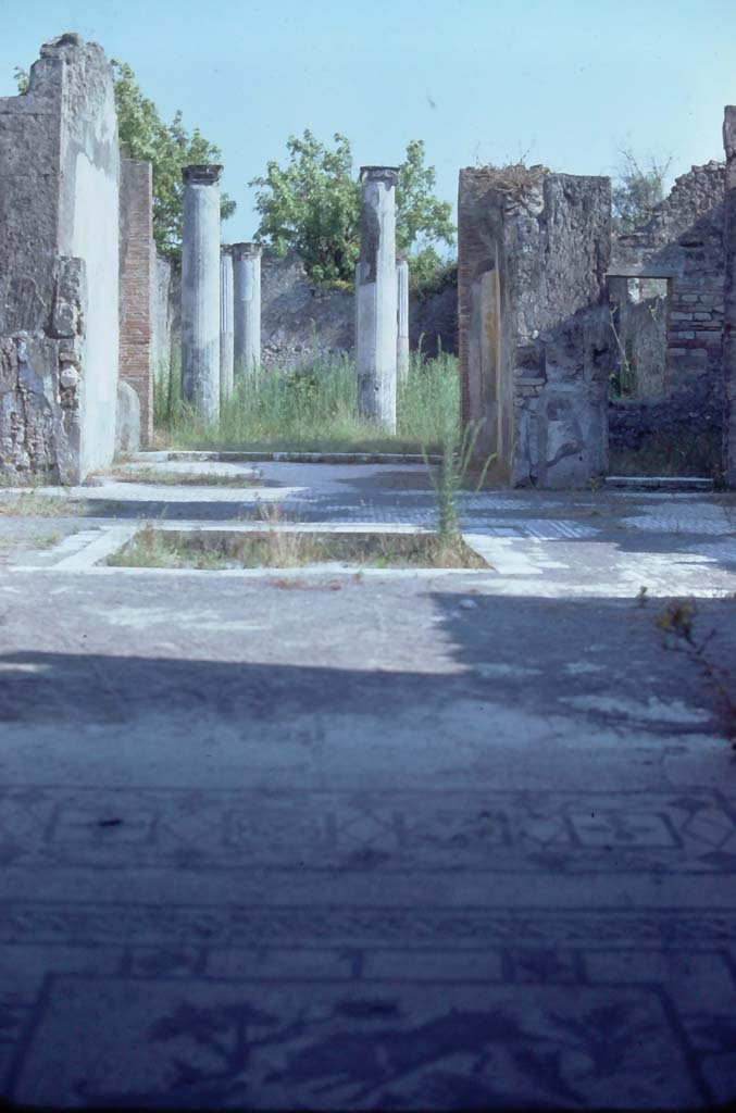 VIII.3.8 Pompeii. September 2019. 
Looking south across the atrium flooring towards the impluvium and across towards the tablinum and peristyle.
Photo courtesy of Klaus Heese.
