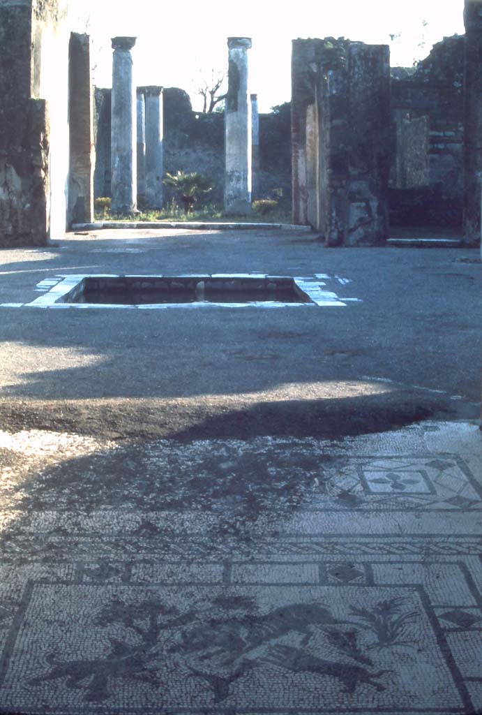 VIII.3.8 Pompeii, 7th August 1976. Looking south across the impluvium in the atrium towards the tablinum and peristyle.
Photo courtesy of Rick Bauer, from Dr George Fay’s slides collection.

