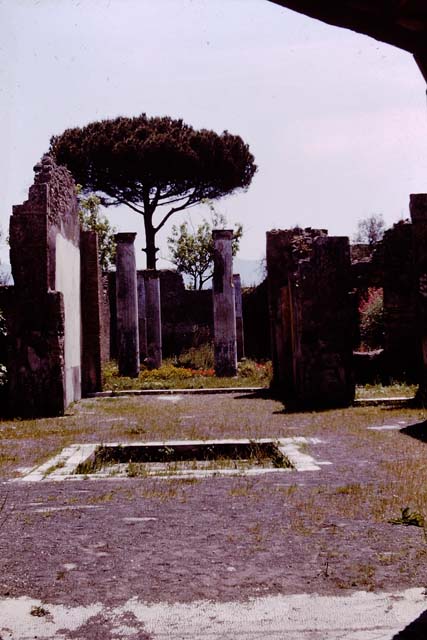 VIII.3.8 Pompeii. August 1965. 
Looking south from end of mosaic in fauces, across atrium to peristyle. Photo courtesy of Rick Bauer.

