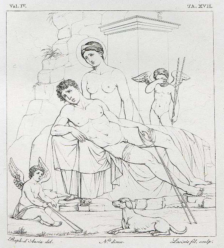 VIII.3.12 Pompeii. Pre-1827. Drawing of painting of Venus and Adonis from Pompeii
According to Real Museo Borbonico, vol. IV. Tav. XVII –
“To the right of the Pompeian road that passes by the side of the Crypt of Eumachia, introduced from the Forum opposite the Basilica, a house was found called “del Cerusico” because of some surgical instruments found in the atrium, was painted in the middle of the beautiful grotesque style paintings, the painting that we publish here …..”
See Real Museo Borbonico, Vol. IV, tav. XVII.
(Note: due to confusion over where the painting was actually found, which could have been found in other locations, see both VIII.5.24 and VIII.5.28)
