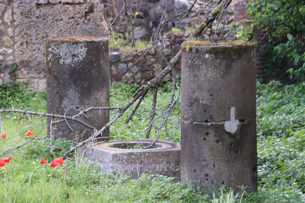 VIII.3.31 Pompeii. May 2024. 
Looking south-east across north portico area from VIII.3.28, detail of columns and cistern-mouth. Photo courtesy of Klaus Heese.
