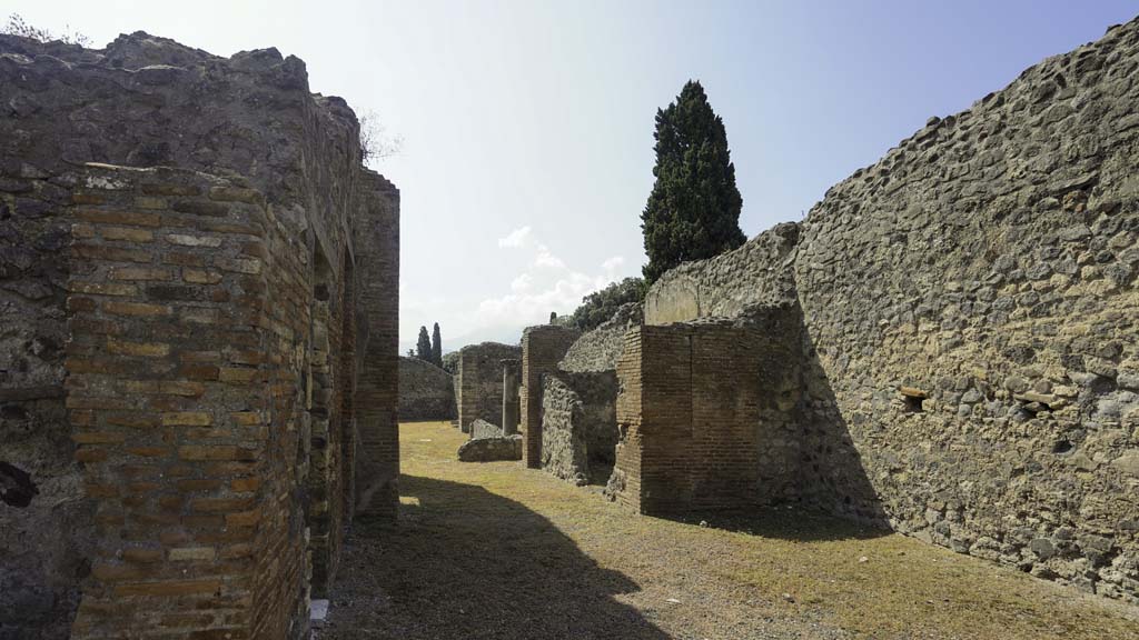 VIII.4.12 Pompeii. August 2021. Looking south from entrance doorway towards peristyle. Photo courtesy of Robert Hanson.