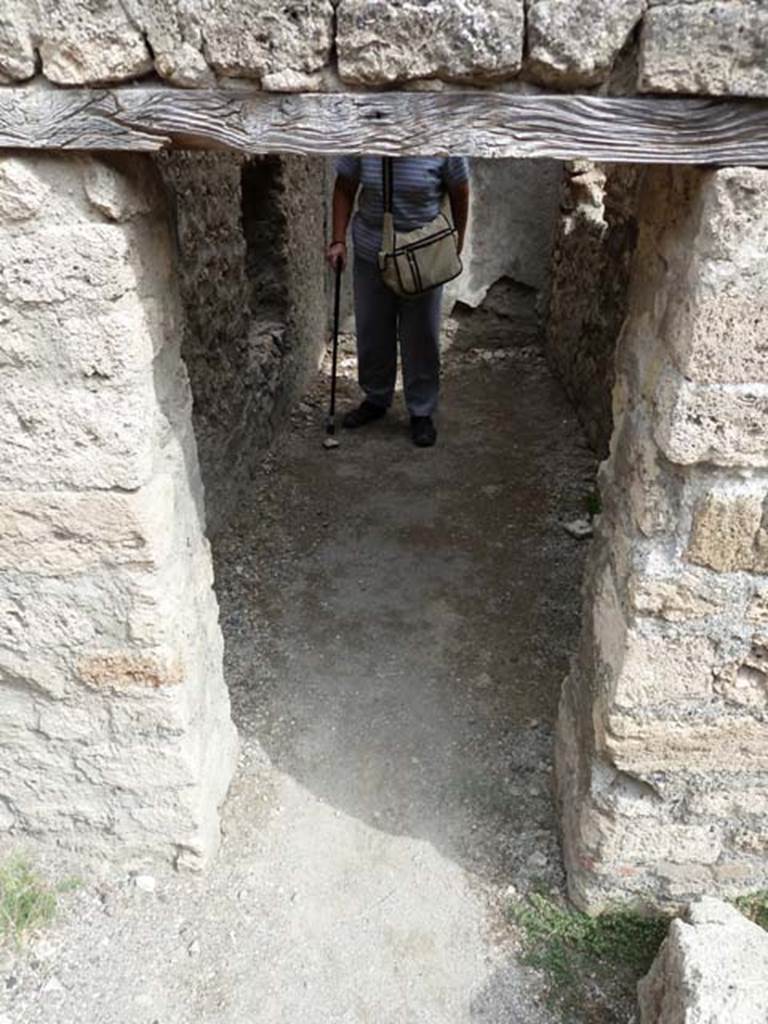 VIII.4.44 Pompeii. September 2015. Doorway to small light-yard, and window into VIII.4.39, and opening into a rear room of VIII.4.4.
