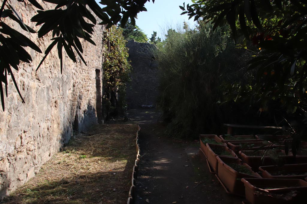 VIII.5.15 Pompeii. October 2022. Room 2, looking east along north wall from near triclinium area. Photo courtesy of Klaus Heese. 