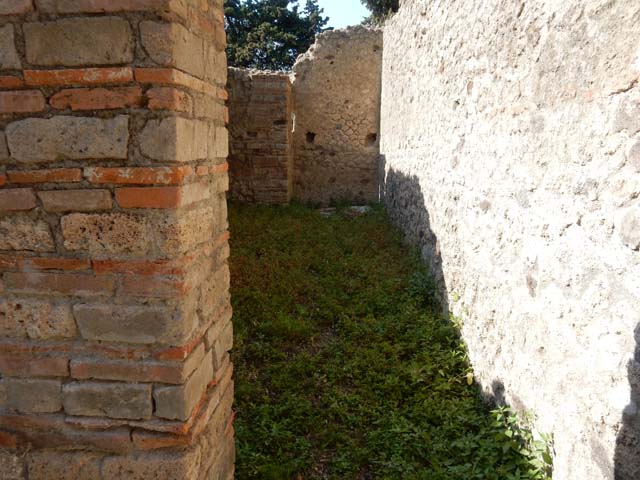 VIII.5.37 Pompeii. May 2017. Room 3, threshold of doorway. Photo courtesy of Buzz Ferebee.
