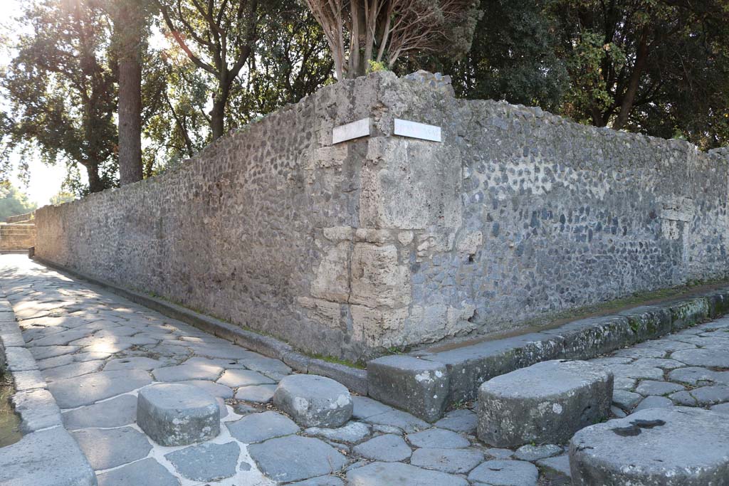 VIII.6.6, Pompeii. December 2018. Looking south along east exterior boundary wall. Photo courtesy of Aude Durand.


