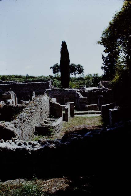 VIII.7.1 Pompeii. 1966. Looking east from rear towards entrance on Via Stabiana.  Photo by Stanley A. Jashemski.
Source: The Wilhelmina and Stanley A. Jashemski archive in the University of Maryland Library, Special Collections (See collection page) and made available under the Creative Commons Attribution-Non Commercial License v.4. See Licence and use details.
J66f0190
