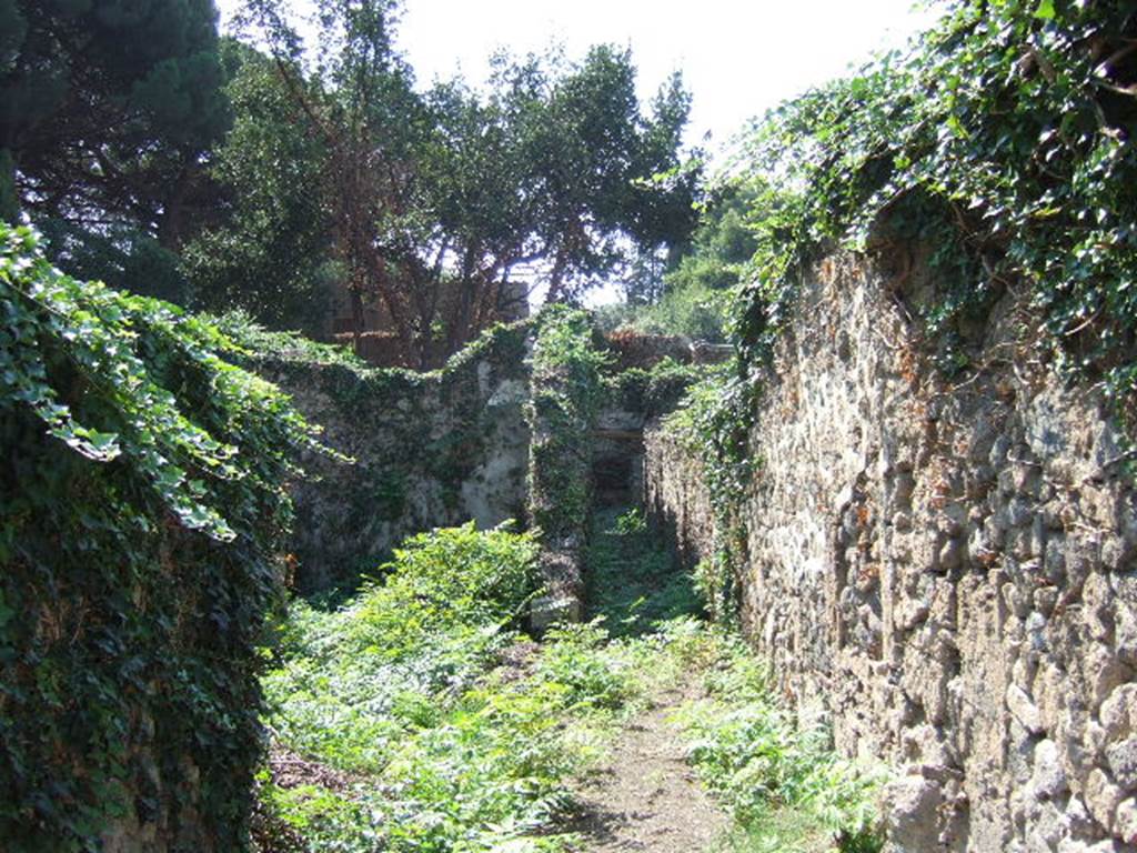 VIII.7.6 Pompeii. September 2005. Looking west from entrance across atrium towards tablinum and corridor to garden at rear.

