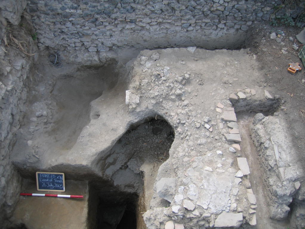 VIII.7.10 Pompeii. July 2005. Eastern half of triclinium during excavations by PARP-PS.
Only the eastern half was revealed and it was found to be extremely poor state of preservation. Quite apart from root damage, a cistern beneath it had collapsed.  
Photo courtesy Steven Ellis and Gary Devore. See PARP: PS 2005 season report http://www.fastionline.org/docs/FOLDER-it-2005-48.pdf .