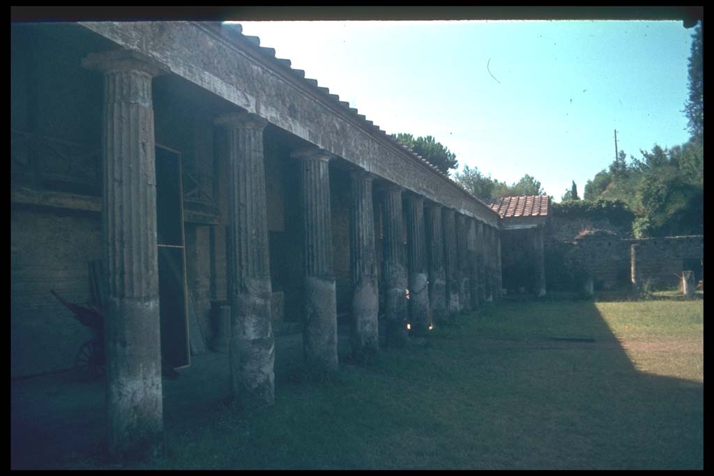 VIII.7.16 Pompeii. Looking west along south side colonnade.
Photographed 1970-79 by Günther Einhorn, picture courtesy of his son Ralf Einhorn.
