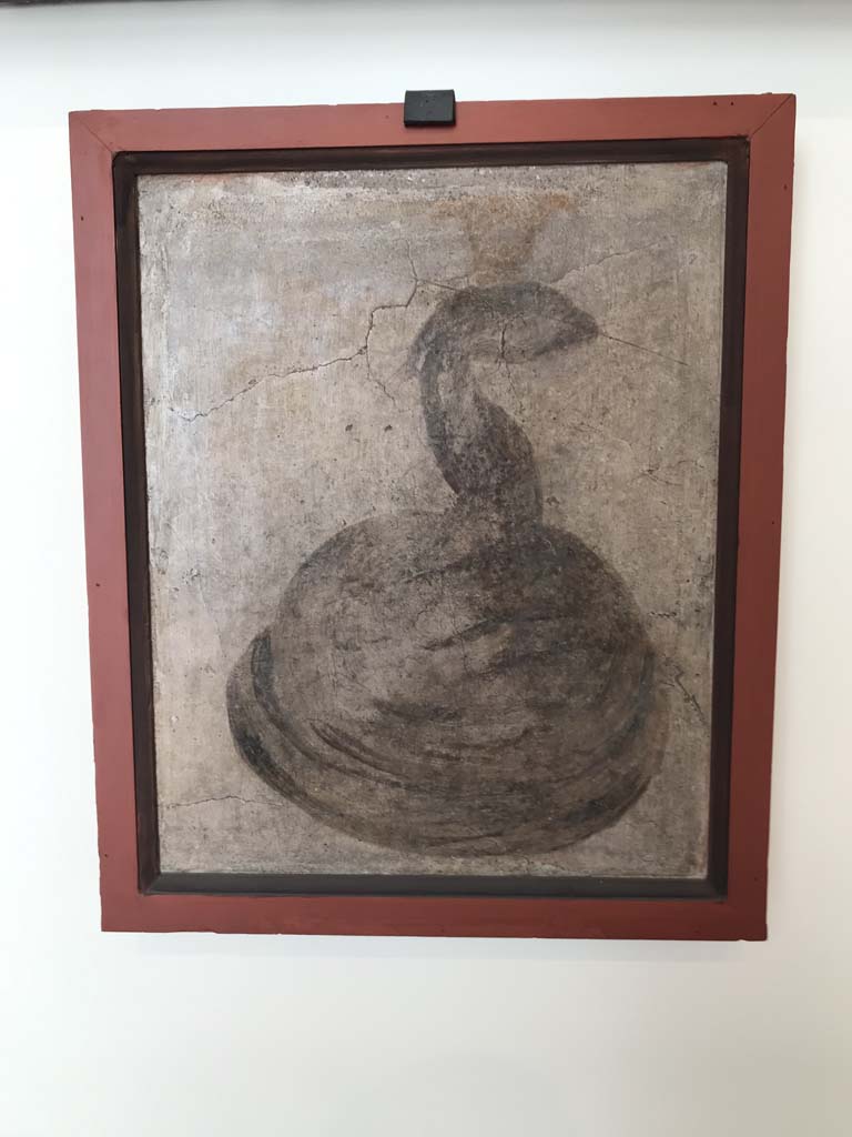 VIII.7.28 Pompeii. April 2019. Lower part of north wall of sacrarium. Painting of sacred cobra. 
Now in Naples Archaeological Museum. Inventory number MDXII. Photo courtesy of Rick Bauer.

