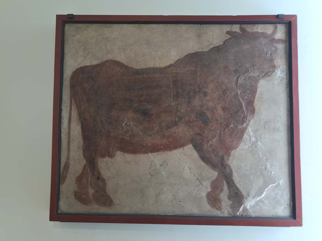 VIII.7.28 Pompeii. April 2019. Painting of sacred bull found on east wall of sacrarium. 
Now in Naples Archaeological Museum. Inventory number 8565. Photo courtesy of Rick Bauer.
