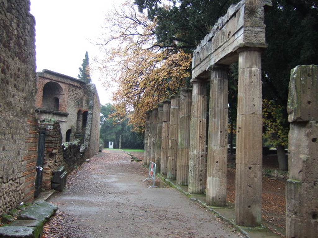 VIII.7.30 Pompeii. December 2005. Triangular Forum looking south along outer east side and columns.