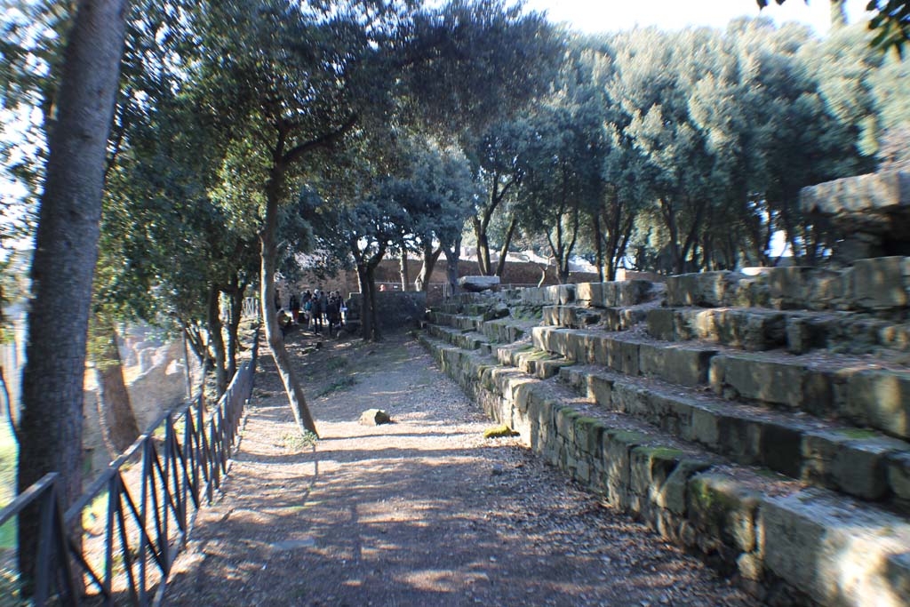 VIII.7.31 Pompeii. September 2005. Doric Temple. South west corner.