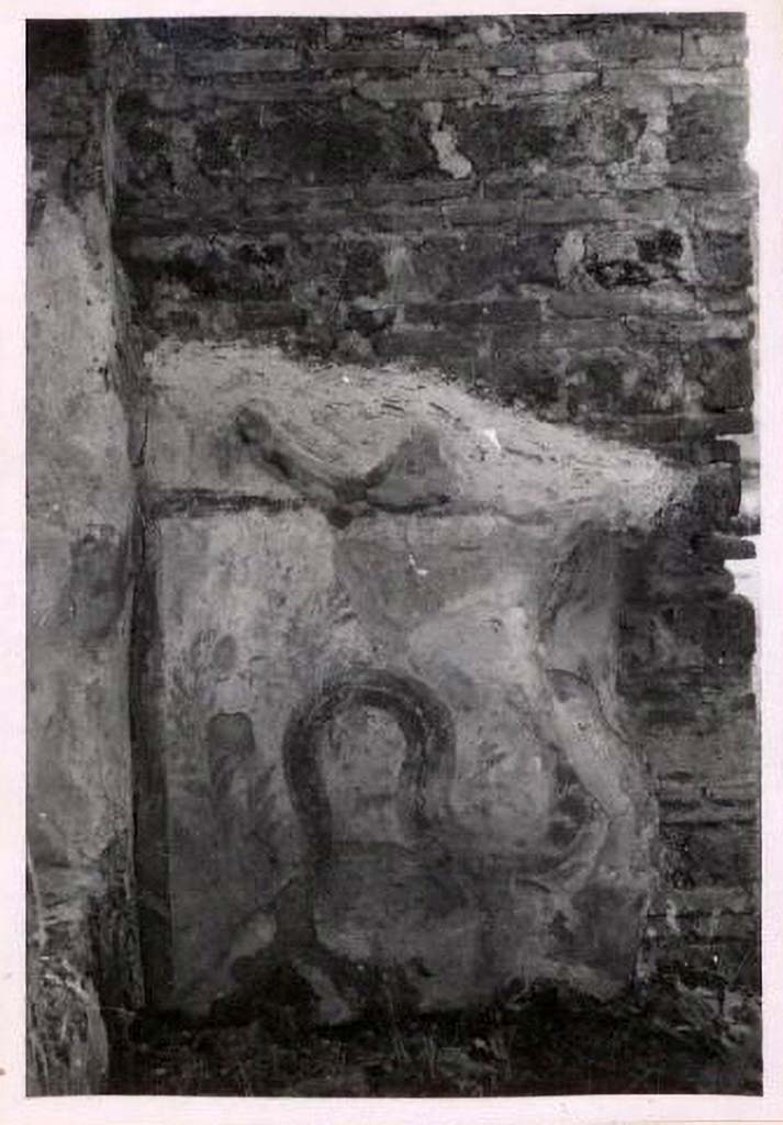 IX.2.6 Pompeii. Pre-1943. Photo by Tatiana Warscher.
According to Warscher, quoting Fiorelli –
In a rear room (b), on the west wall, is a fragmentary panel of white stucco bordered in red, on which is painted a single red serpent coiling among plants.
See Warscher, T. Codex Topographicus Pompeianus, IX.2. (1943), Swedish Institute, Rome. (no.15a.), p. 39.
Boyce records:
391
IX, ii, 6
Taberna. 1n a rear room, on the W. wall, is a fragmentary panel of white stucco bordered in red, on which is painted a single red serpent coiling among plants.
FIORELLI, Scavi, 55.



