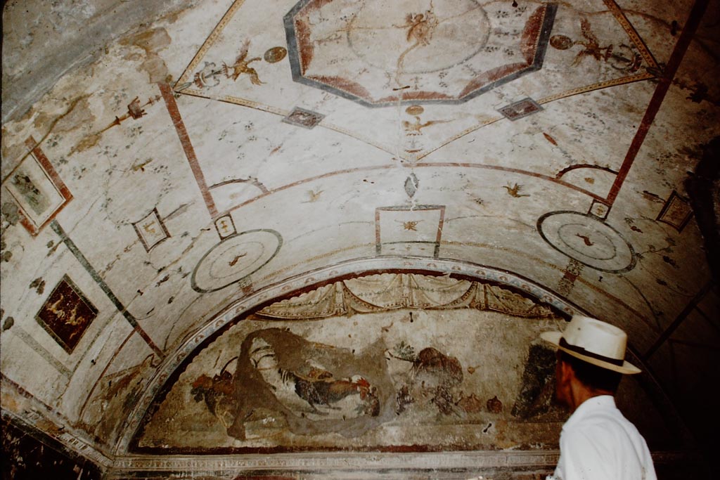 IX.2.10. Pompeii. 1959. Tablinum, with vaulted painted ceiling. Photo by Stanley A. Jashemski.
Source: The Wilhelmina and Stanley A. Jashemski archive in the University of Maryland Library, Special Collections (See collection page) and made available under the Creative Commons Attribution-Non Commercial License v.4. See Licence and use details.
J59f0369
