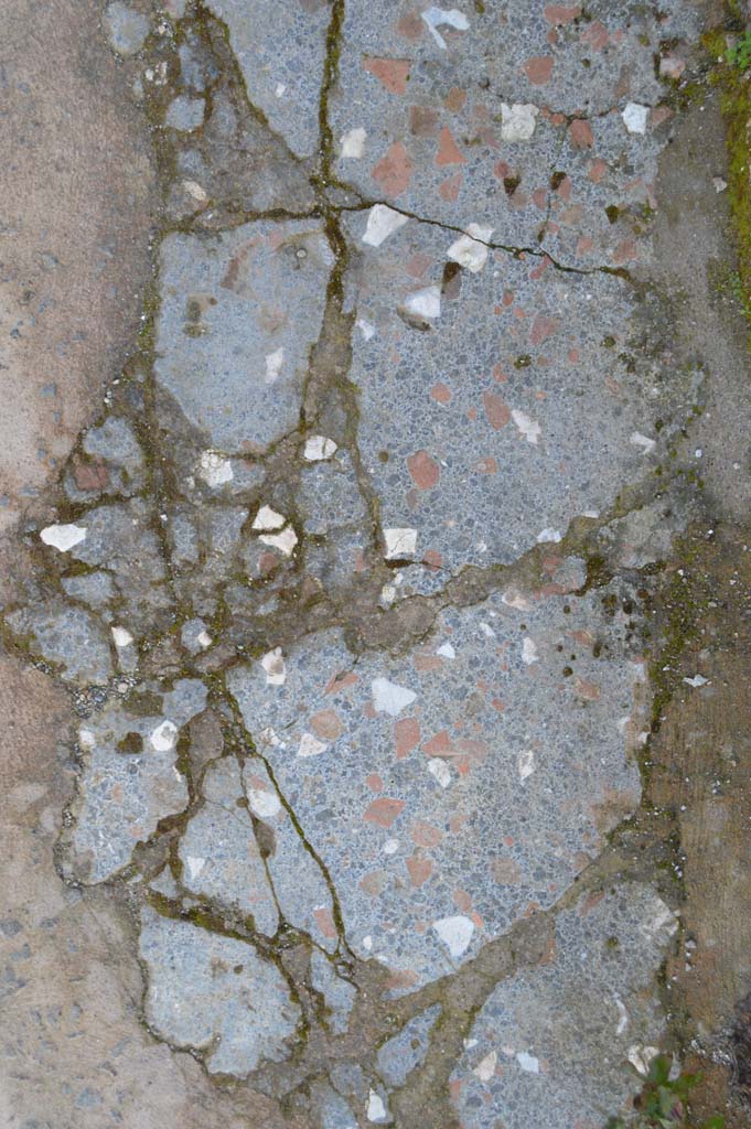 IX.2.26 Pompeii. March 2019. Detail of pavement flooring.
Foto Taylor Lauritsen, ERC Grant 681269 DÉCOR.

