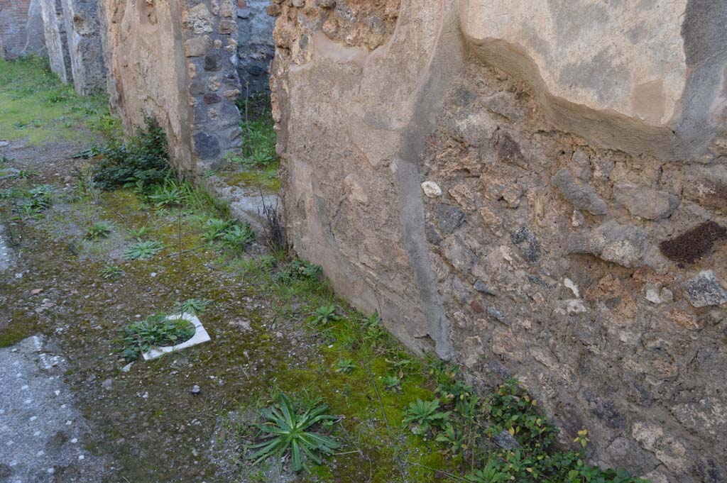 IX.2.26 Pompeii. March 2019. Looking towards west wall of entrance corridor/fauces, with doorway to kitchen.    
Foto Taylor Lauritsen, ERC Grant 681269 DÉCOR.
