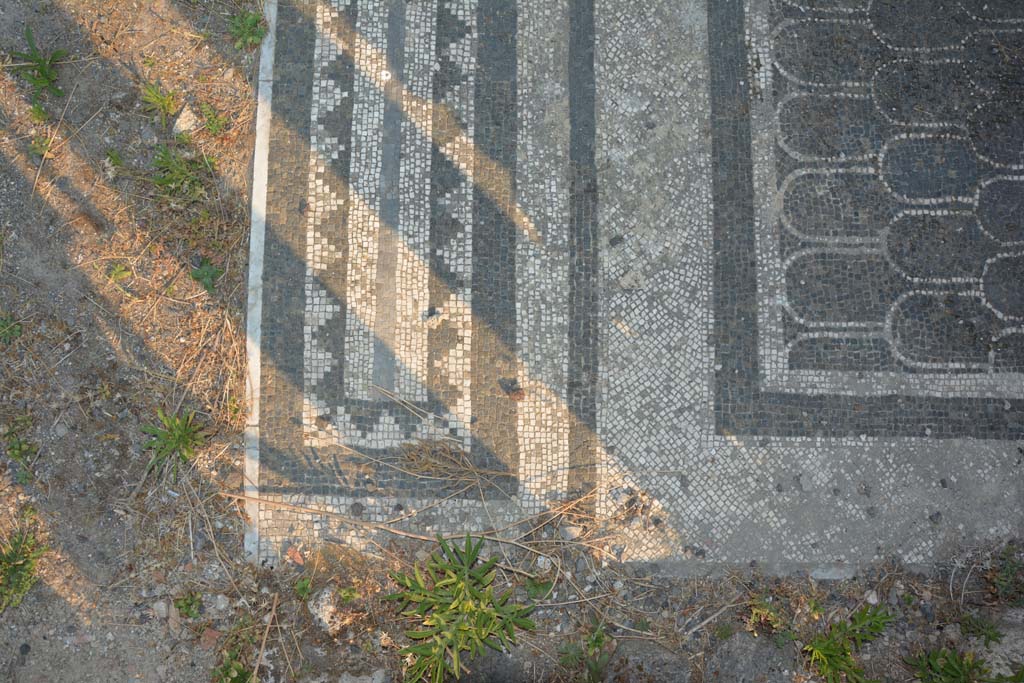IX.3.2 Pompeii. July 2017. Detail of mosaics in entrance corridor at east end.
Foto Annette Haug, ERC Grant 681269 DÉCOR.

