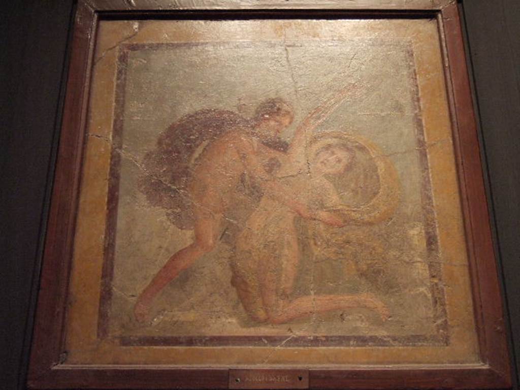 IX.3.5 Pompeii. Wall painting of Apollo and Daphne, found in triclinium.  
Now in Naples Archaeological Museum.  Inventory number 9536.
