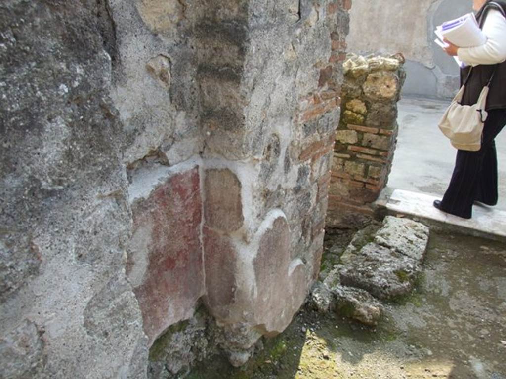 IX.3.5 Pompeii. March 2009. Room 21, corridor. South wall with remains of painted plaster, and steps to lower level.
