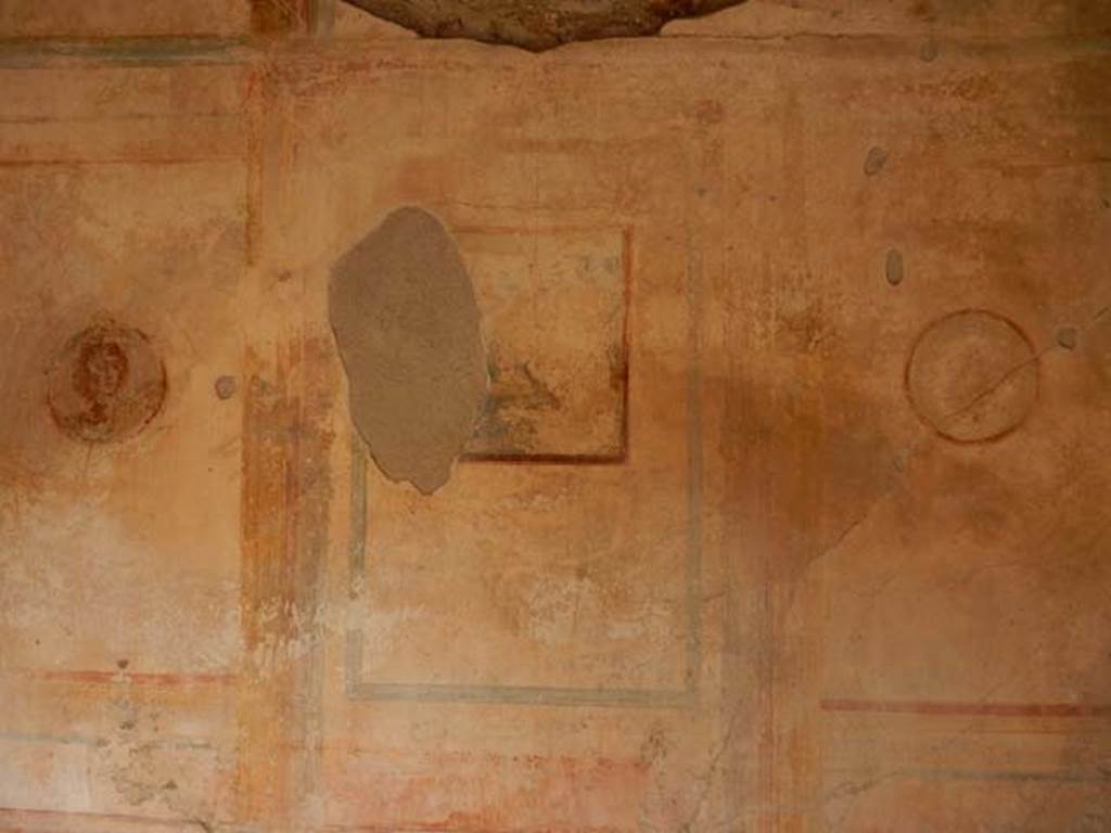 IX.3.5 Pompeii. May 2015. Room 5, north wall. Photo courtesy of Buzz Ferebee.
