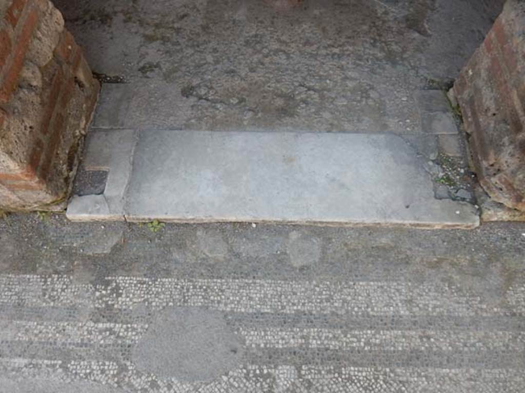 IX.3.5 Pompeii. May 2015. Room 15, threshold of doorway, from atrium mosaic floor.
Photo courtesy of Buzz Ferebee.
