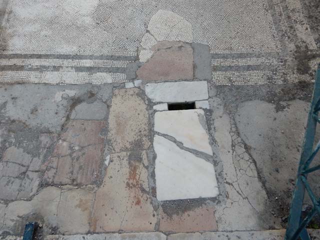 IX.3.5 Pompeii. May 2015. Detail of floor near entrance threshold. Photo courtesy of Buzz Ferebee.