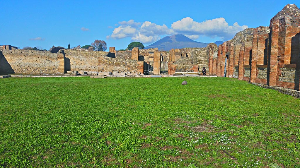 IX.4.18 Pompeii. December 2019. Looking north-east across palaestra “d”. Photo courtesy of Giuseppe Ciaramella.