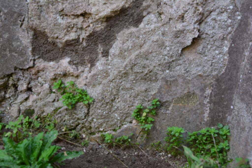 IX.5.2 Pompeii. March 2017. Room ‘g’, detail from lower south wall in south-west corner.
Foto Christian Beck, ERC Grant 681269 DÉCOR.

